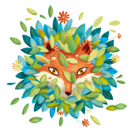 Le renard d'Adorée - Editions Hemma